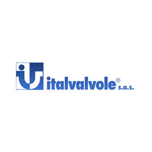 ItalvalvoleLogo
